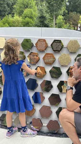 MERICA MAY JENSE INSTALLATION